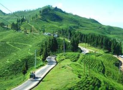 Simply - Gangtok and Darjeeling Tour