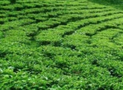 Weekend Package Tour