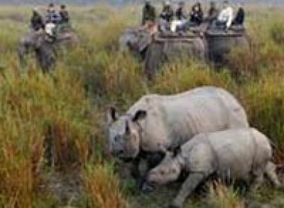 Majestic Touch of North East Tour