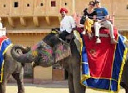 01 Day Pink City Tour By Car