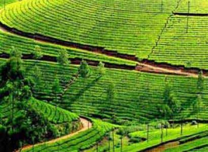 Kerala - a Lovers Paradise tour