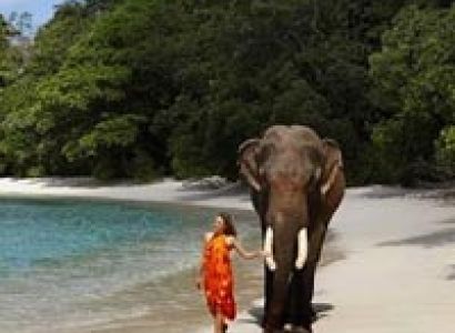 Family Package 3 Nights & 4 Days