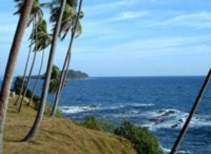 4 Nights & 5 Days Family Package
