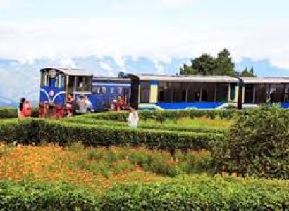 5 Night 6  Days Darjeeling