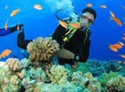 Andaman Island Tour