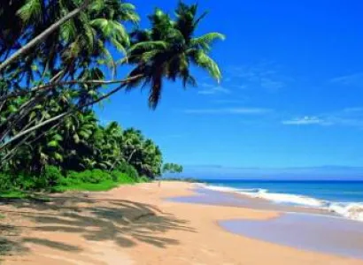 Amazing Sri Lanka