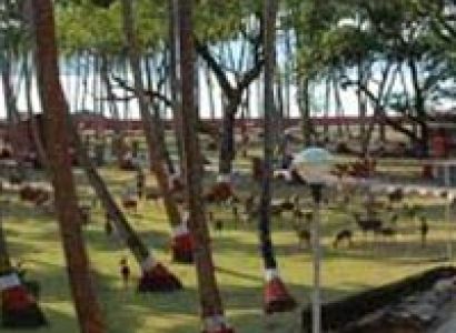Andaman Honeymoon Tour Package 6N/7D