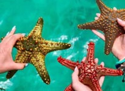 7 Days Holiday in Zanzibar Package