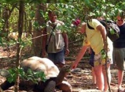 Prison Island Package