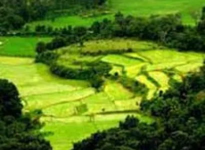 4 Blissful Days in Coorg Tour