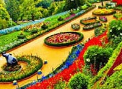 Bangalore Mysore Ooty Tour