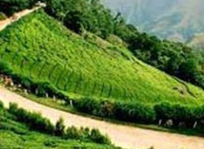 Munnar Hills Tour Package