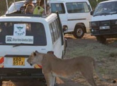 3 Nights 4 Days Masai Mara and Lake Nakuru Safari Tour