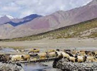 Markha Valley Trek 7N/8D Tour