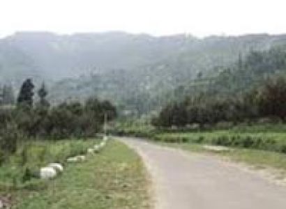 Kheerganga & Tosh Trekking & Camping Tour