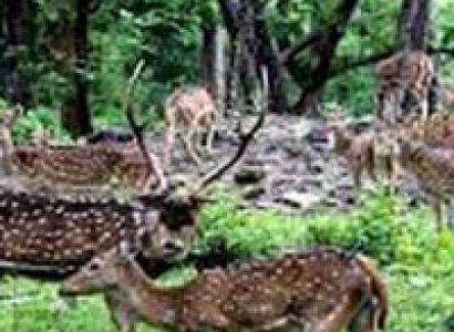 Kathmandu & Nepalgunj (Bardia National Park) Tour