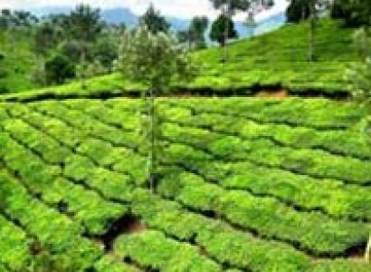 Best of Karnataka Tour