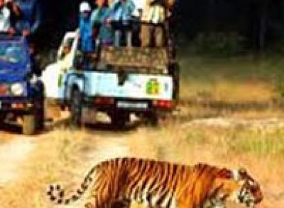 Corbett National Park Tour