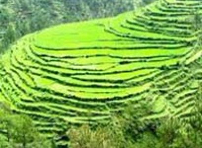 Uttaranchal Package By Car Tour