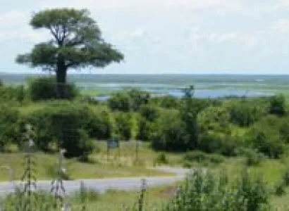 Best of Botswana 5 Nights Tour