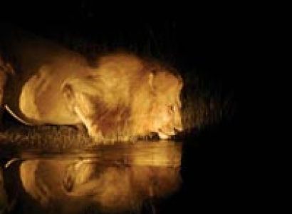 Best Of Botswana 5 Nights Tour