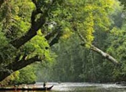 Taman Negara National Park