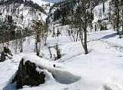 Shimla - Kufri - Delhi Tour