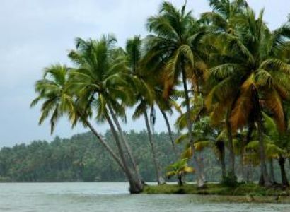 Kodaikanal - Thekkady - Munnar Package