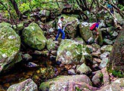 Kodaikanal Fullday Local Tour