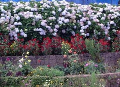 Kodaikanal Park Tour