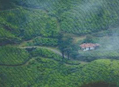 Kerala Hills and Backwater Package