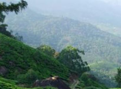 Munnar One Day Tour Package