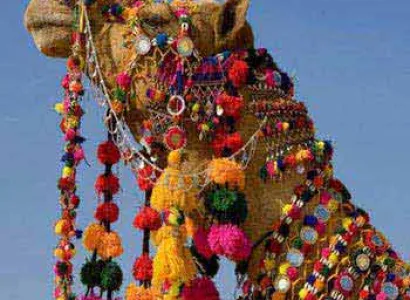 Rajasthan Desert Circle Tour