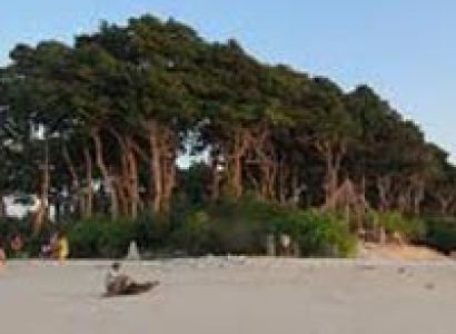 Port Blair, Havelock Tour