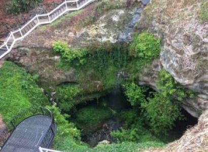 Hills and Wildlife Tour