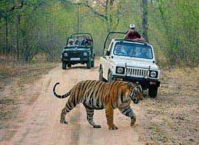Corbett Weekend Safari Tour