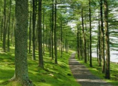 Best of Uttranchal Tour