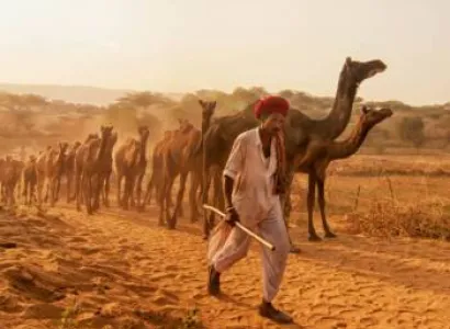 Sampoorna Rajasthan Tour