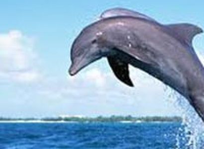 Mesmerizing Mauritius Tour