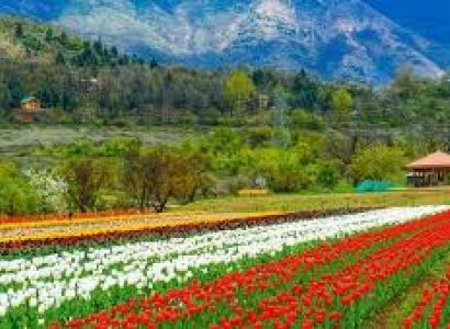 Jammu Tour package
