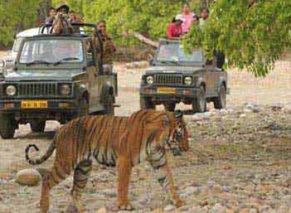 Delhi to Corbett 2 Night Package