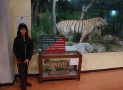 2 Night Group Package View Resort