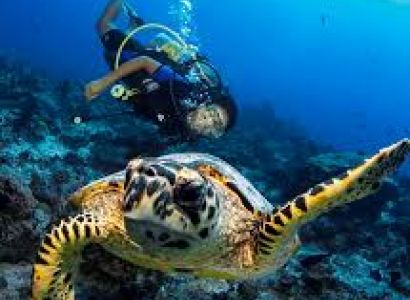Trip to  Maldives 4N/5D