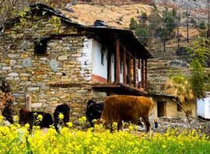 Munsiyari to Milam Glacier Trek Tour