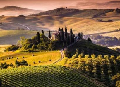 Southern Tour with Hills