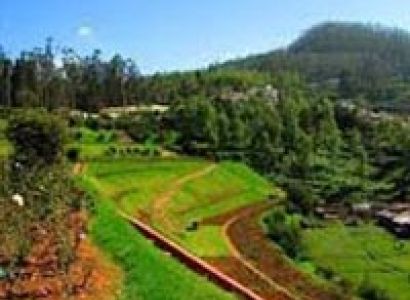 Bangalore-Ooty Honeymoon Special Tour