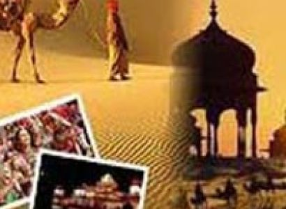 Ranthambhore - Jaipur Tour