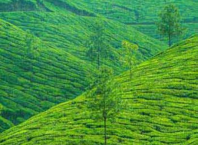 Kerala Holiday Package 11 Nights & 12 Days Tour