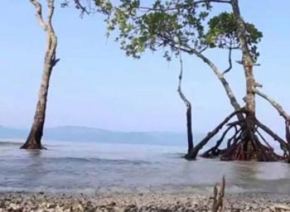 Wonderful Andaman Tour Package