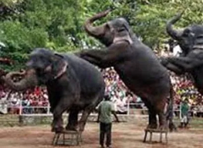 Beaches of Sri Lanka Tour